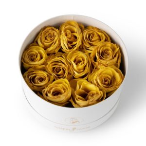 Long lasting roses